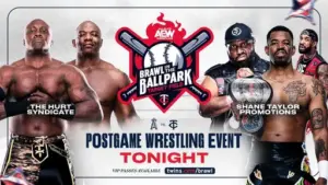AEW Takes Over Target Field for Post-Game Brawl in the Ballpark on July 10