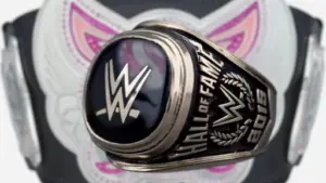 Alicia Fox Pushes for Divas-Era WWE Hall of Fame Class