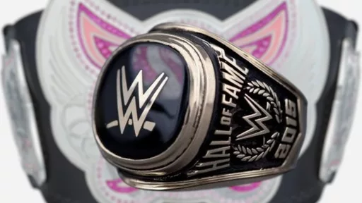 Alicia Fox Pushes for Divas-Era WWE Hall of Fame Class