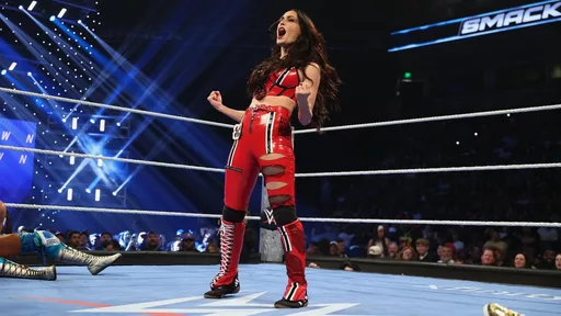 Brie Bella Speaks Out on Short SmackDown Match, Cites Two-Hour Format as Factor
