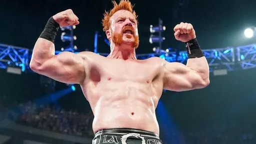 Eric Bischoff Wanted to Modernize Sheamus During His 2019 WWE Run
