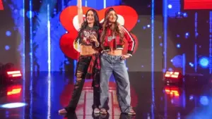 Nikki Bella Says She Doesn’t Want to Continue WWE Run Without Brie
