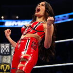 Brie Bella’s WWE Return Path Debated After SummerSlam Injury