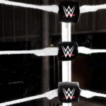 Nikki Bella Targets End Of 2027 For In-Ring Retirement
