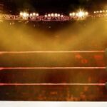 Zoey Stark Reveals Pitch For Right To Censor Revival, With Liv Morgan On Board
