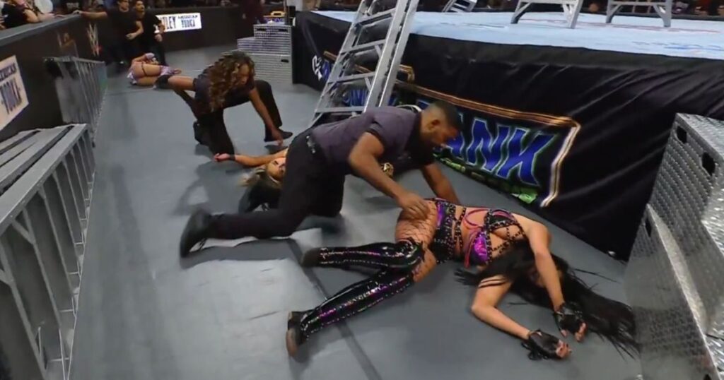 Jacy Jayne Addresses Scary Fall At WWE Money In The Bank
